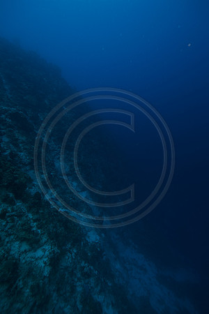 Bonaire Getaway, Bonaire Getaway