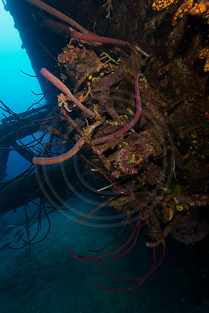 HilmaHooker