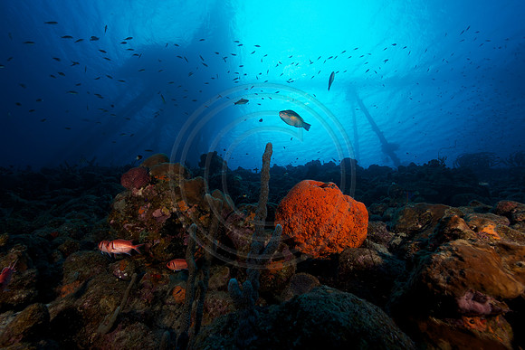 Salt Pier