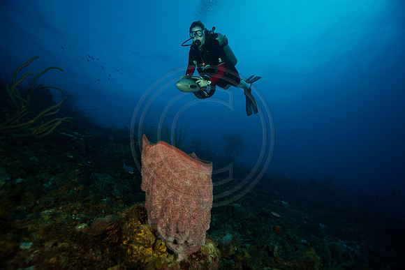 Bonaire Getaway, Bonaire Getaway