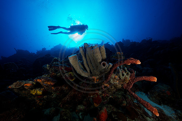 Bonaire Getaway, Bonaire Getaway