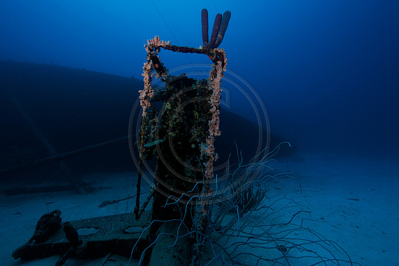 Hilma Hooker Wreck