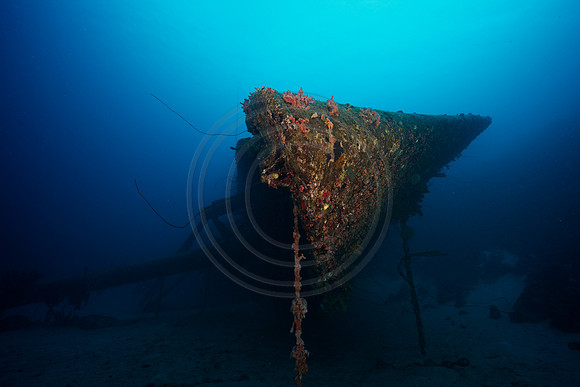 Bow of the Hilma Hooker
