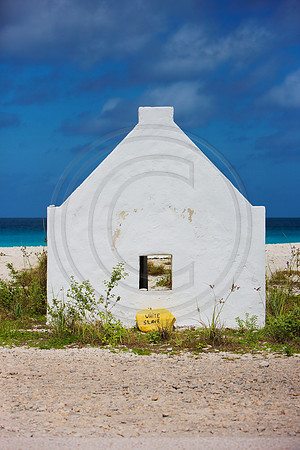 White Slave dive marker