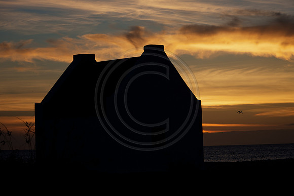 Red Slave at sunset
