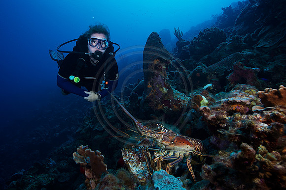 Bonaire Getaway, Bonaire Getaway