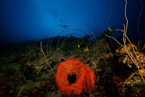 Bonaire Getaway, Bonaire Getaway