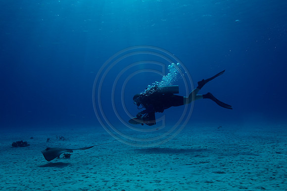 Bonaire Getaway, Bonaire Getaway