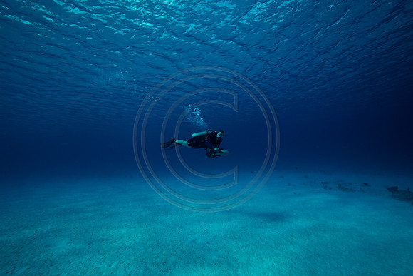 Bonaire Getaway, Bonaire Getaway