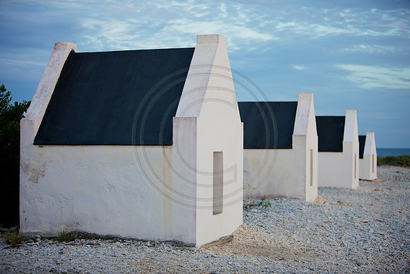 White Salve Huts
