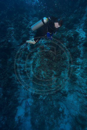 Bonaire Getaway, Bonaire Getaway