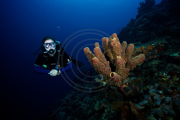 Bonaire Getaway, Bonaire Getaway