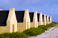 Bonaire 2007