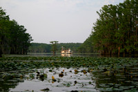 Caddo Lake