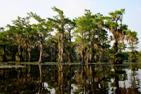 Caddo Lake