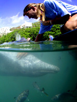 British Virgin Islands 2001-2002