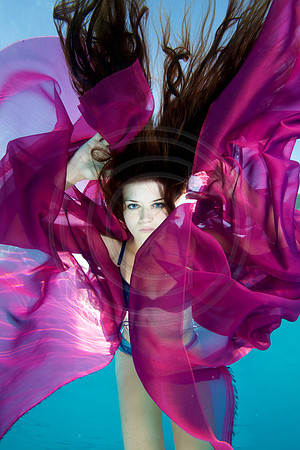 TMI_7407 - Version 2