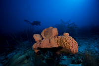 Peter Hughes Sun Dancer Belize