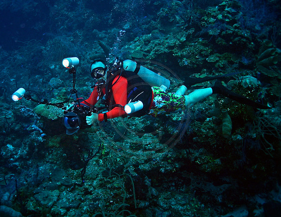 Peter Hughes Sun Dancer Belize
