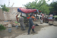 TMI_6344 (1)