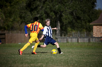 LJ Vipers vs Bay City Barcelona 11/09/13