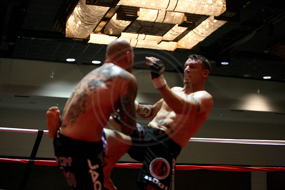 TMI_3239