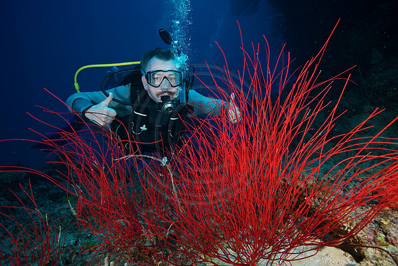 FIJI 2010