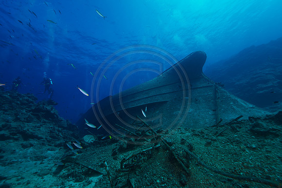 FIJI 2010