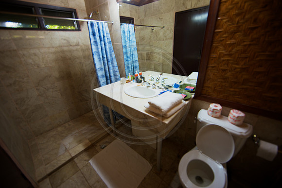 FIJI 2010