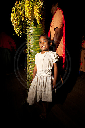 FIJI 2010