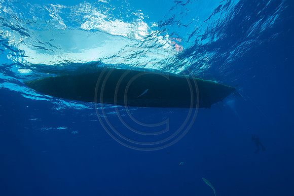 FIJI 2010