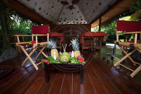 FIJI 2010