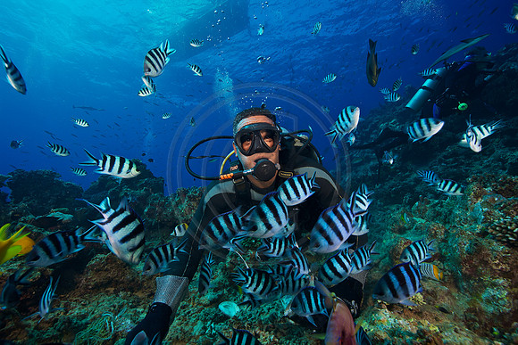 FIJI 2010