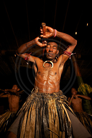 FIJI 2010