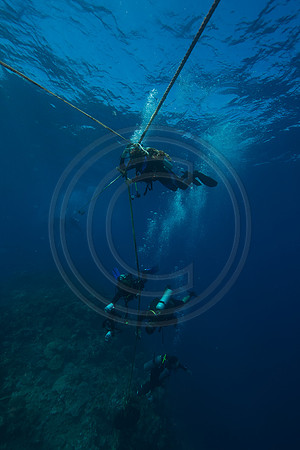 FIJI 2010