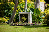 FIJI 2010