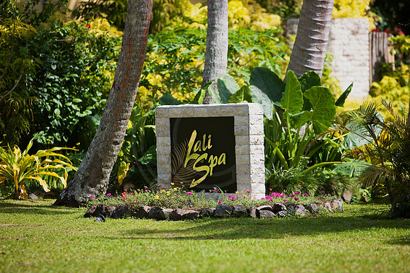 FIJI 2010