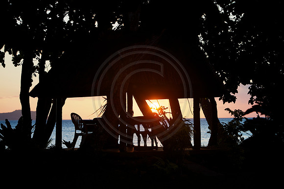 FIJI 2010