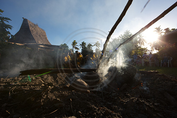FIJI 2010