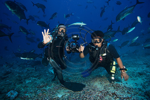 FIJI 2010