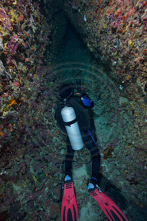 FIJI 2010