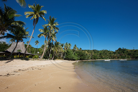 FIJI 2010