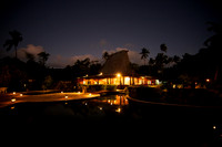 FIJI 2010