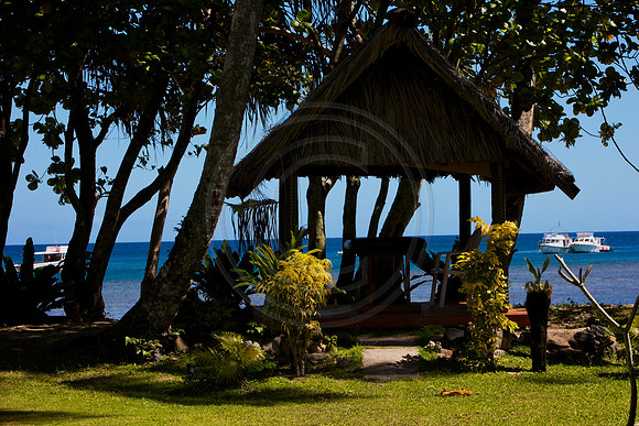 FIJI 2010