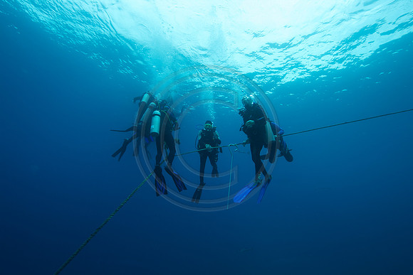 FIJI 2010