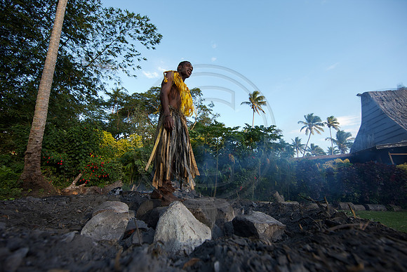 FIJI 2010