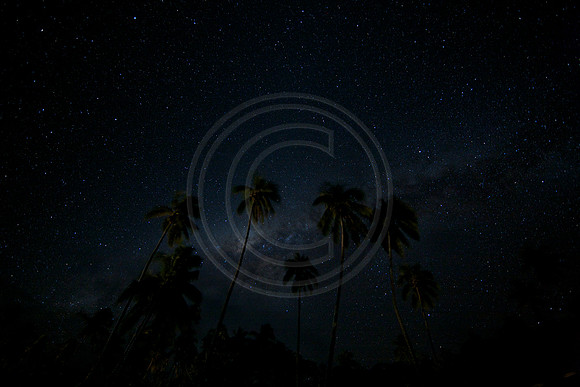 FIJI 2010