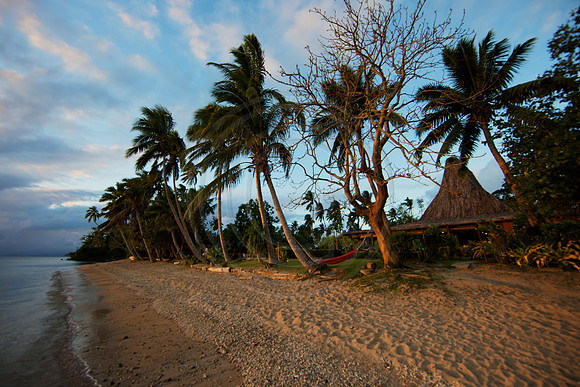 FIJI 2010