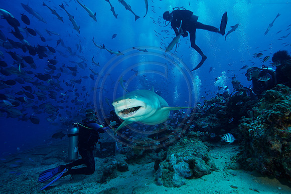 FIJI 2010