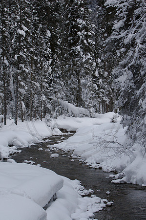 Emerald Lake Lodge